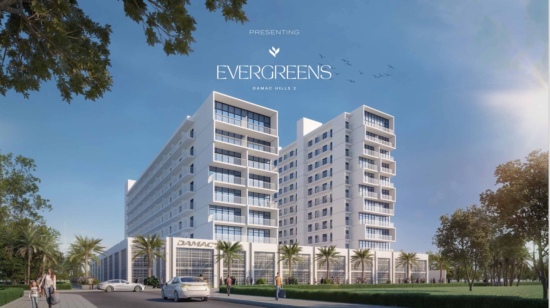 EVERGREENS