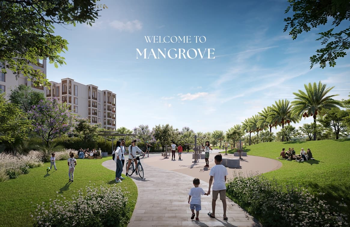 Mangrove Creek Beach