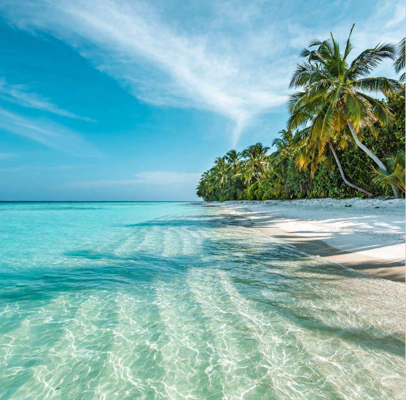 Coraline Beach Residences
