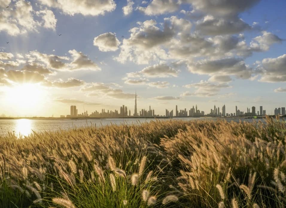 2fb0acde-72ea-4038-9717-aff82bc32004