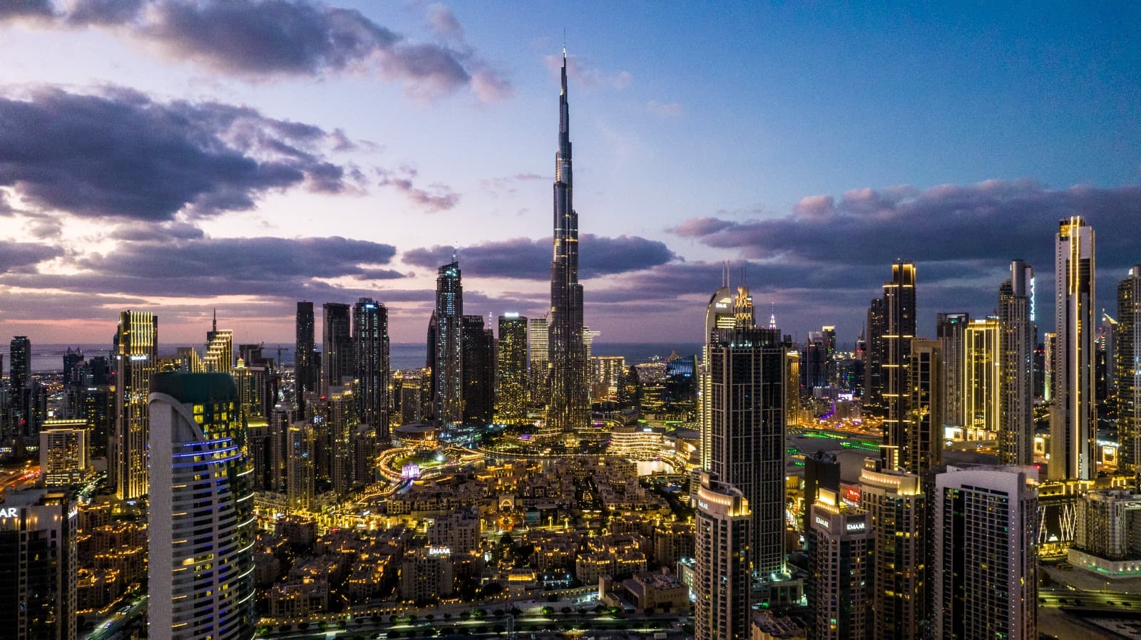 5099423f-6f07-4357-9d7f-6d51c7dba5b3