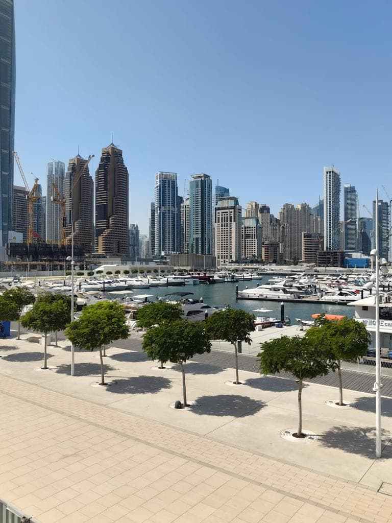 a2ac0bbd-d4a1-4606-903f-c89a99ca0dbd