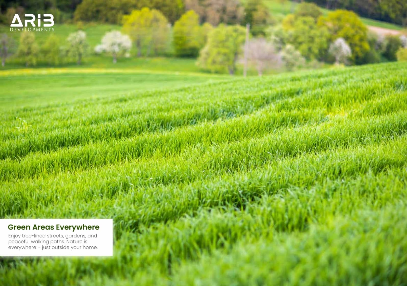 a6ed517a-0321-4005-8bf6-cac01a59a7bb