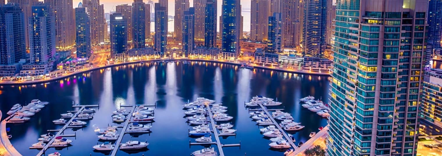 ceb769f3-6199-4405-ace3-fb2e4a4b26d8