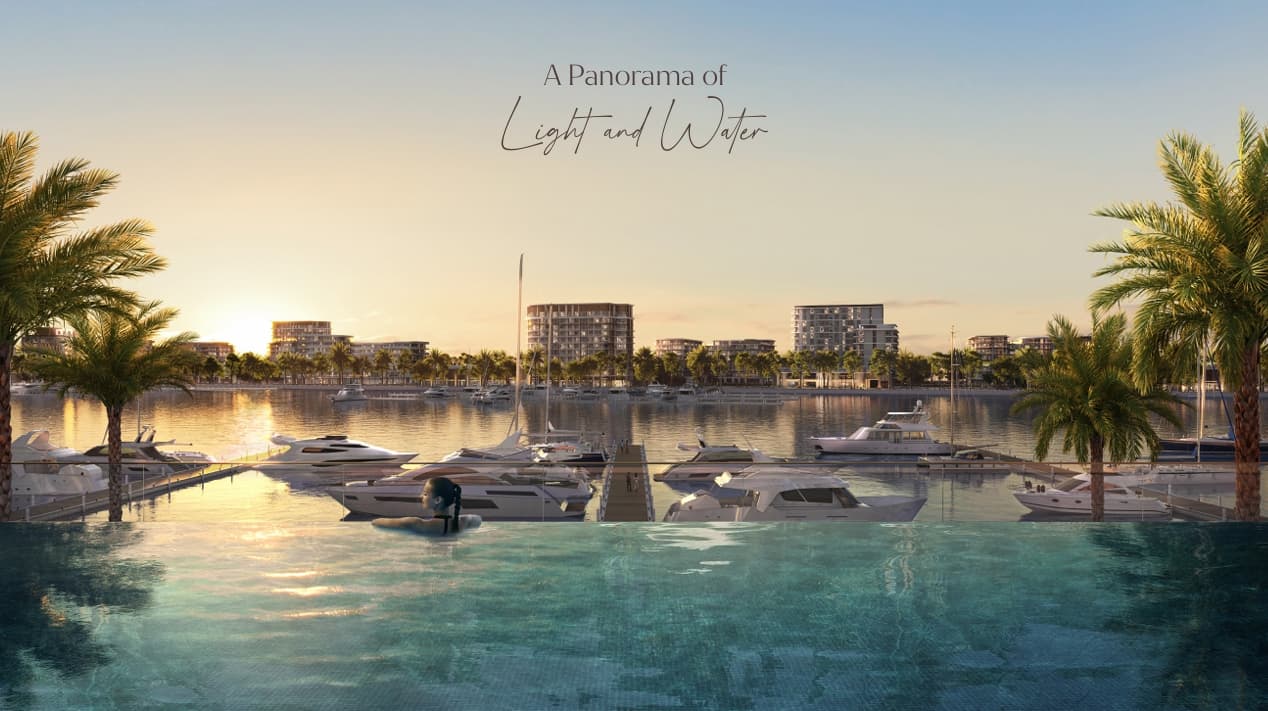 d1c6e891-d73f-465d-8d50-7822f85161d6